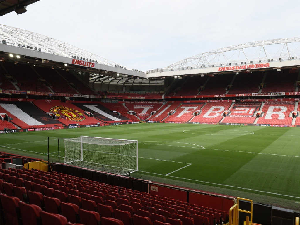 摇旗助威 摇旗助威