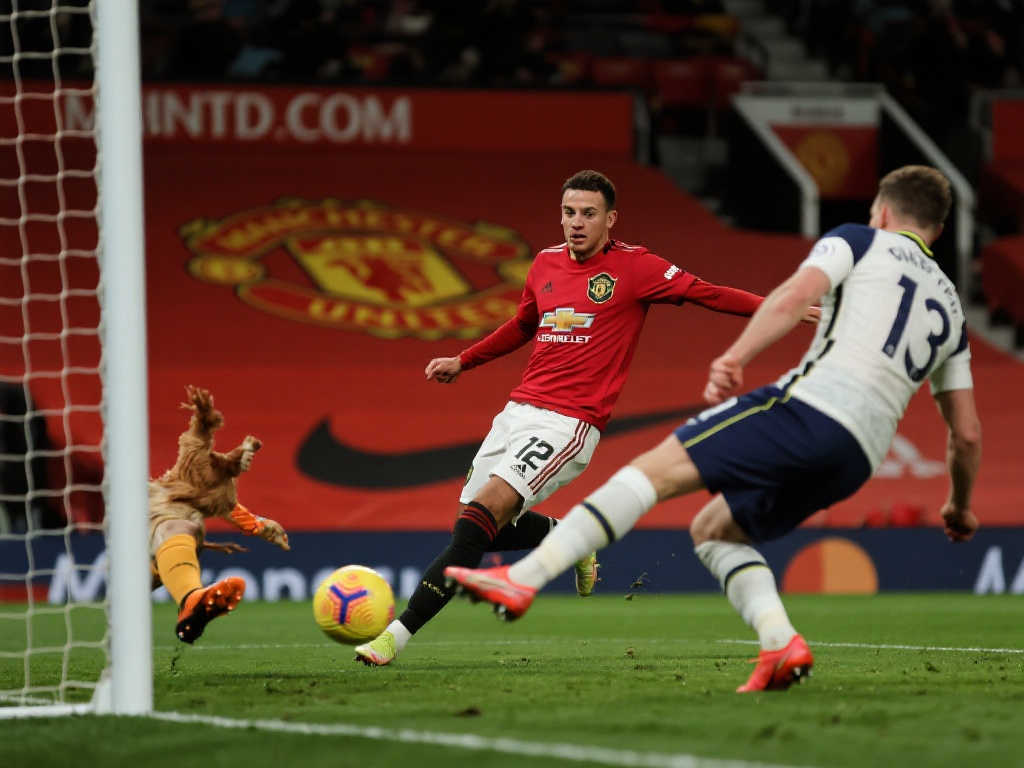 旨在为热爱 旨在为热爱